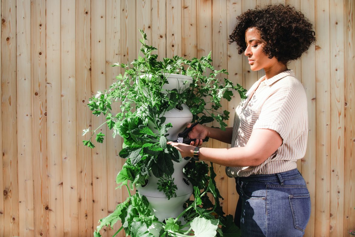 Beginner gardening mistakes and how to avoid them