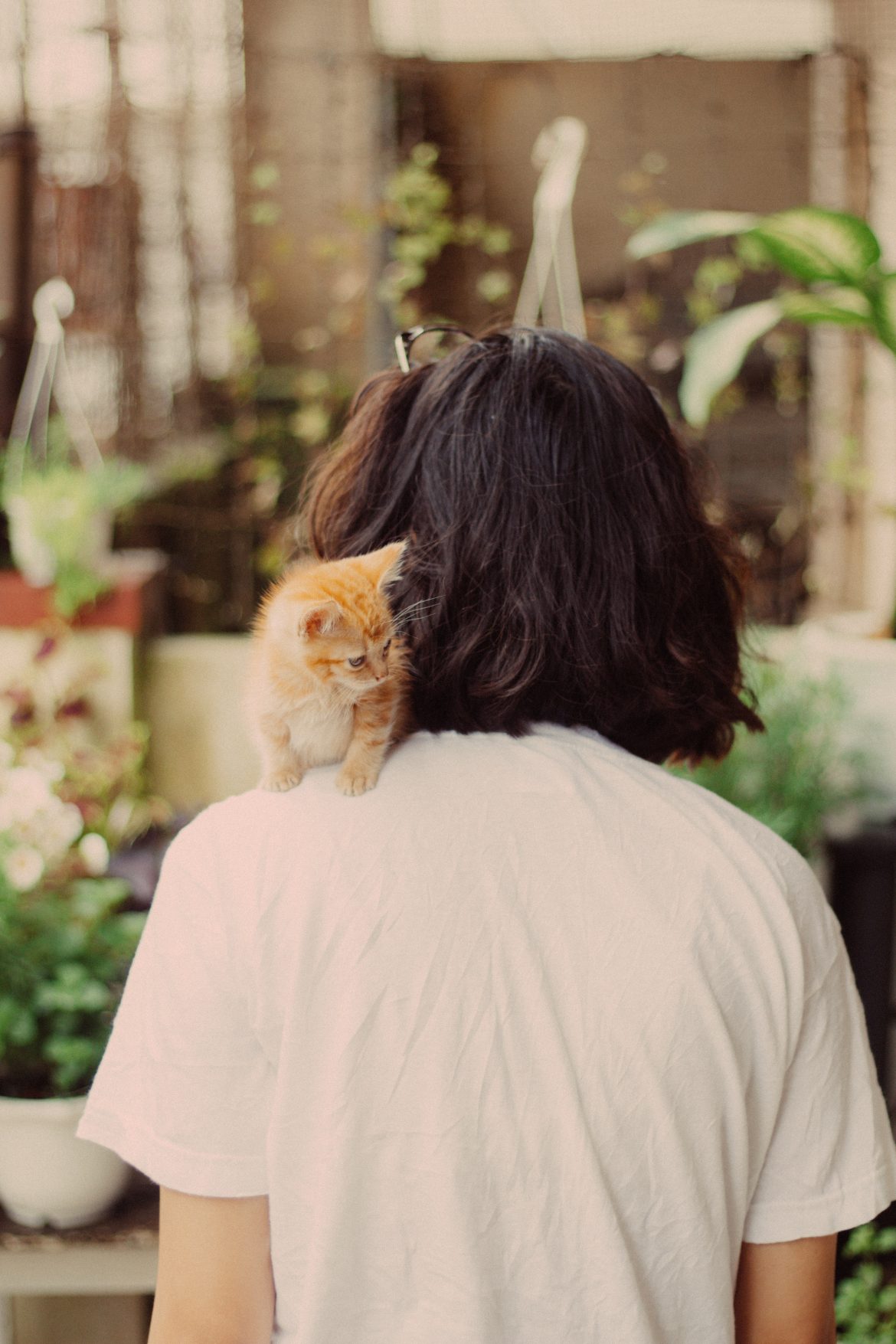 Complete this checklist before you get a pet!