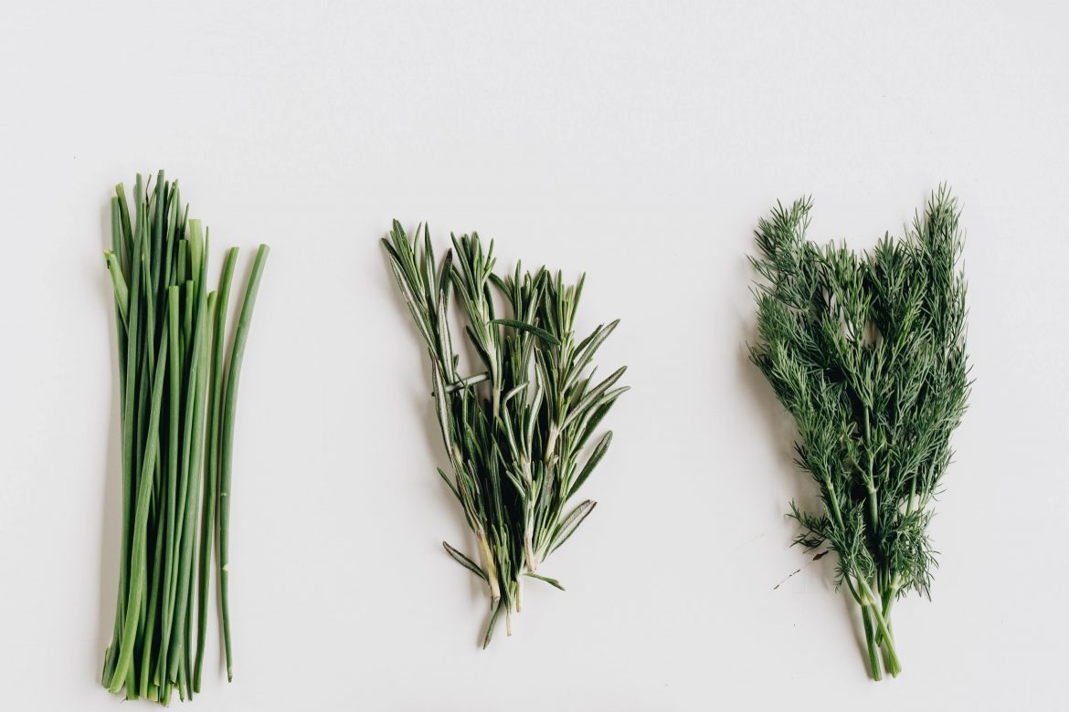 Herbs that can be used for healing