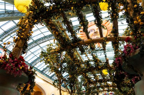 Decorate your space this Spring with this DIY flower canopy