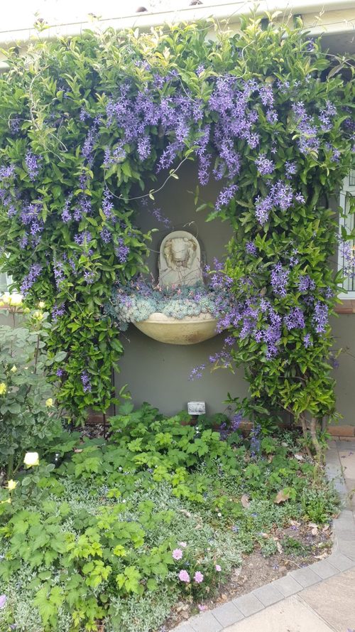 Everything you need to know about Elgin Open Gardens 2023 Woman&Home