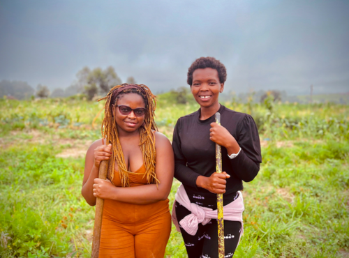 From farm to market: Neziswa Mlenzana drives innovation in agri-business