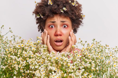 Mastering allergies: 7 seasonal survival strategies