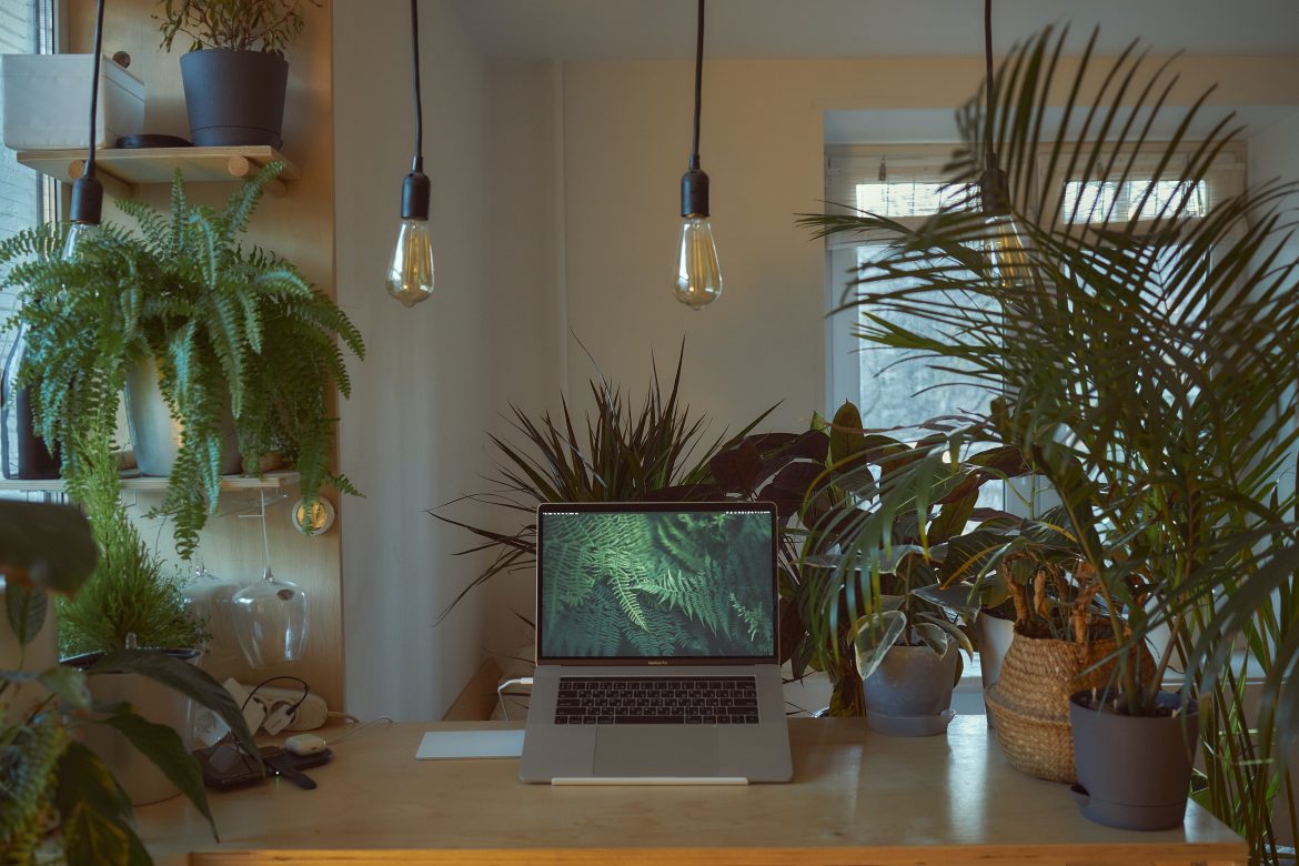 Decorate your space with wall-to-wall greenery