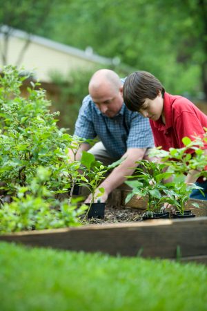 a grandfather and a grandson gardening together
