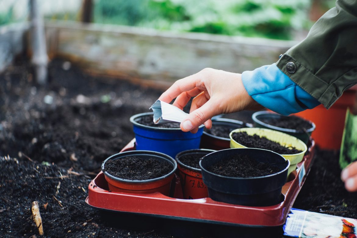 Make a functional raised garden bed for your balcony