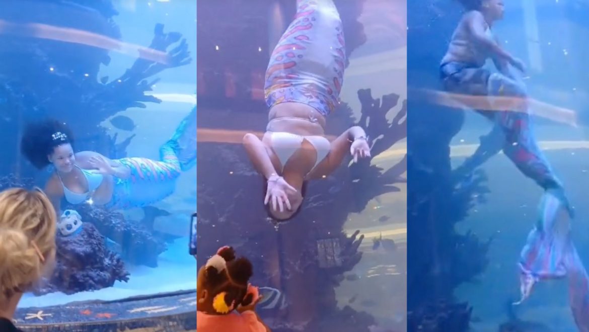 WATCH: Cresta ‘Mall Mermaid’ escapes drowning after tail gets caught