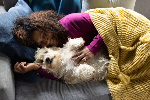 More than 50% of pets are overweight! Is yours? How to find a free weight check