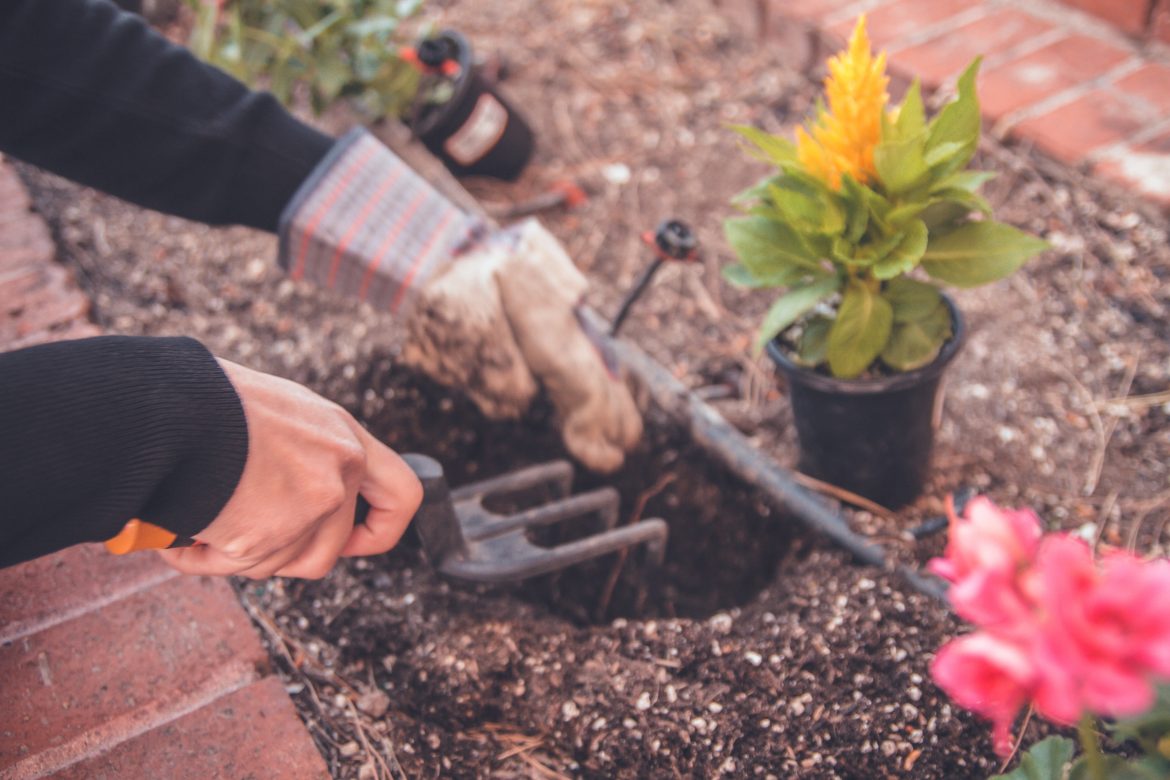 5 organic items you didn’t know could be composted