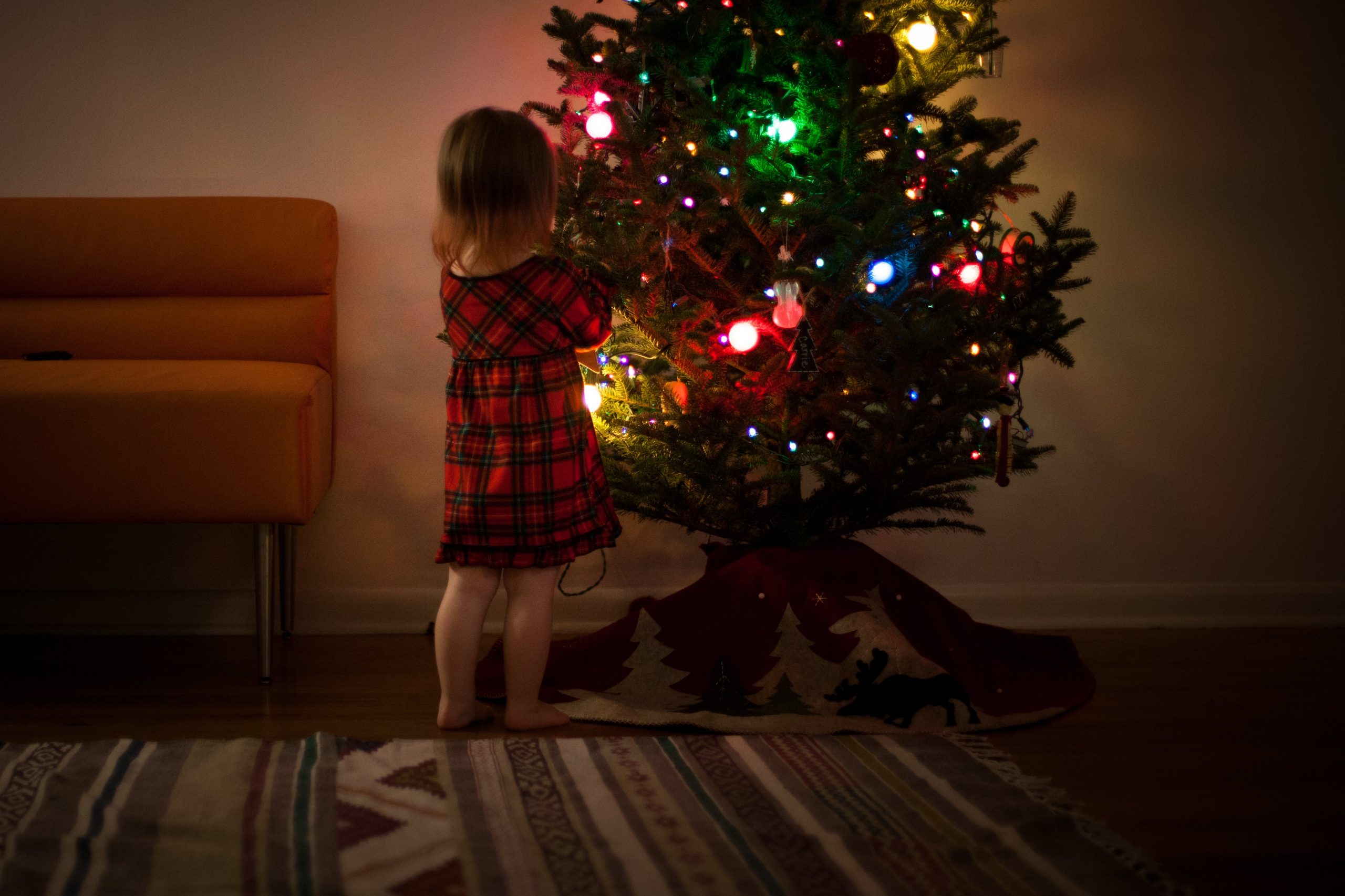 Top tips for a toddler-friendly and pet-friendly Christmas