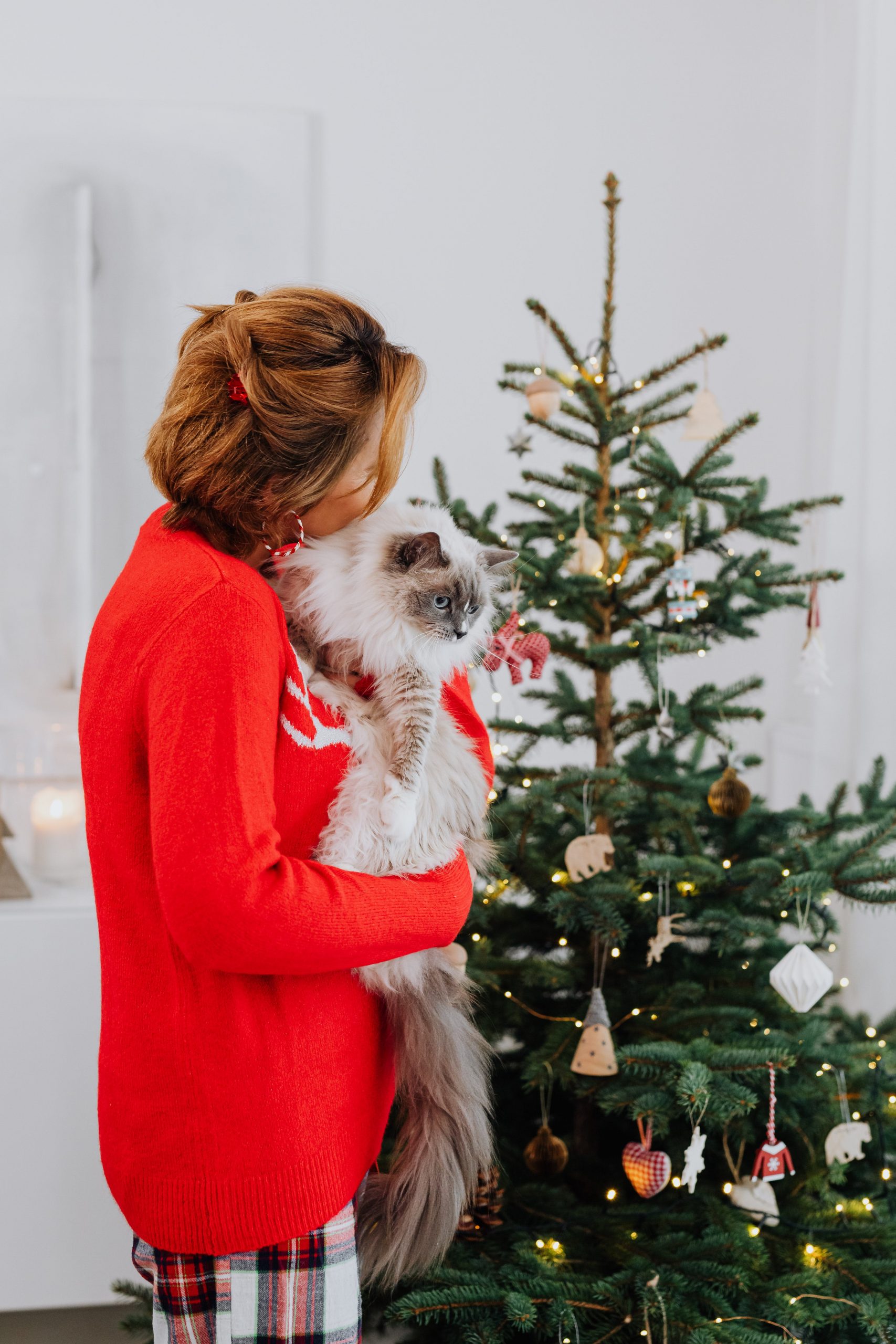 Top tips for a toddler-friendly and pet-friendly Christmas