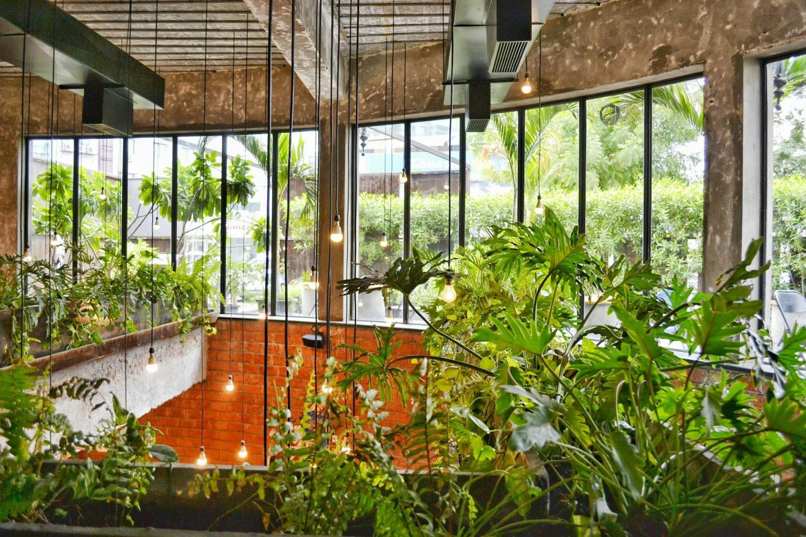 Tiny gardens, huge potential: elevate small spaces with these 5 garden ideas