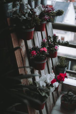 vertical garden