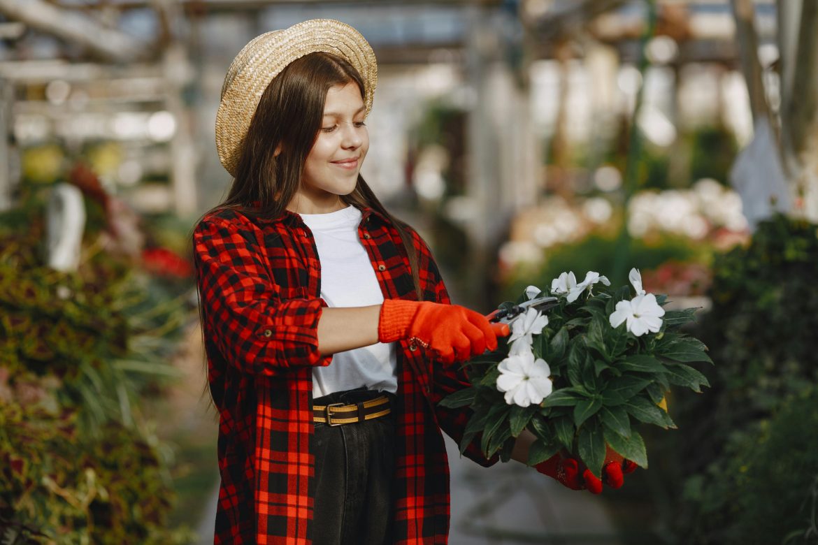 Deadhead your plants for a blooming garden with our step-by-step guide