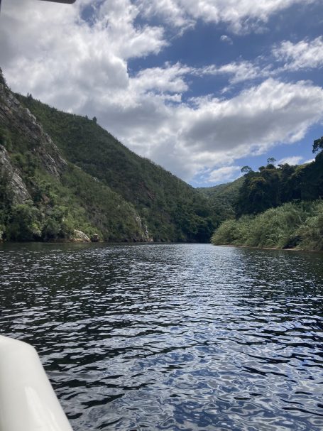 view from Stanley Island boat ride