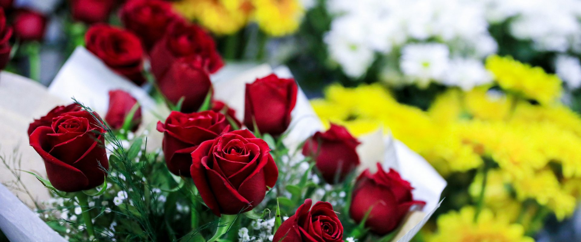 Roses in a Rush: Where to Find Last-Minute Valentine's Bouquets