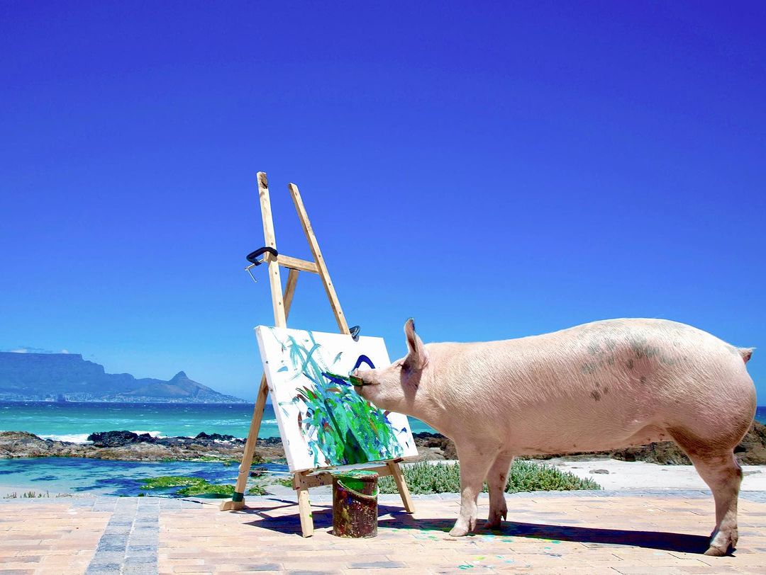 Viral sensation ‘Pigcasso’ has passed away at eight years old