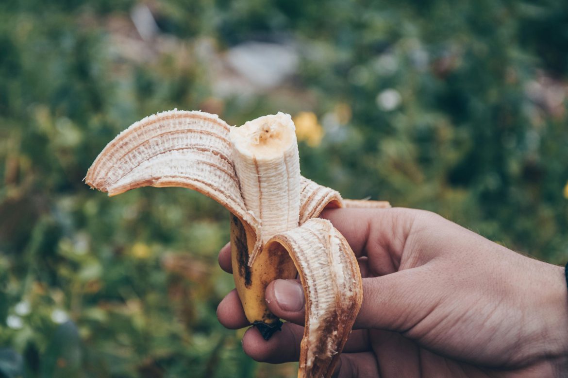 Banana peels: the eco-friendly fertilizer your garden needs