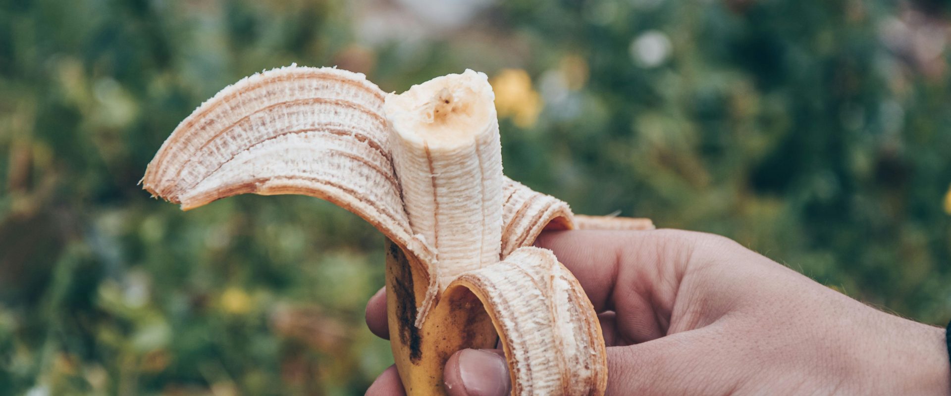 Banana peels: the eco-friendly fertilizer your garden needs