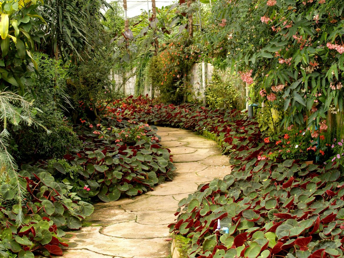 An easy guide to garden landscaping