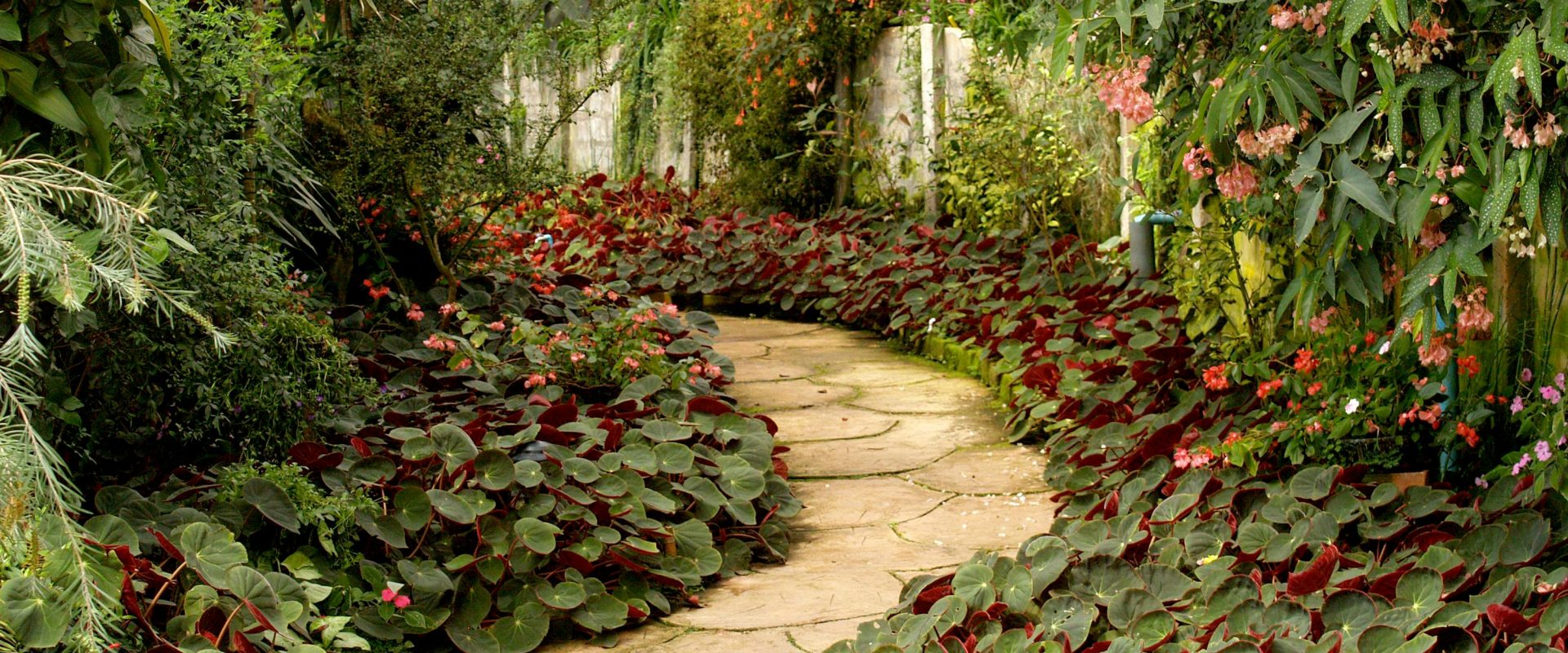 An easy guide to garden landscaping