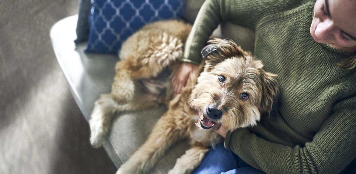 The best things in life are FREE