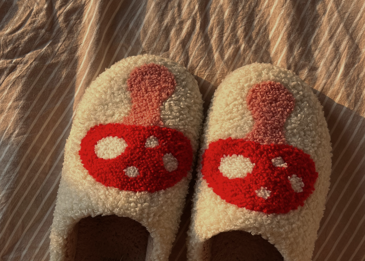 How to clean fluffy slippers without damaging them