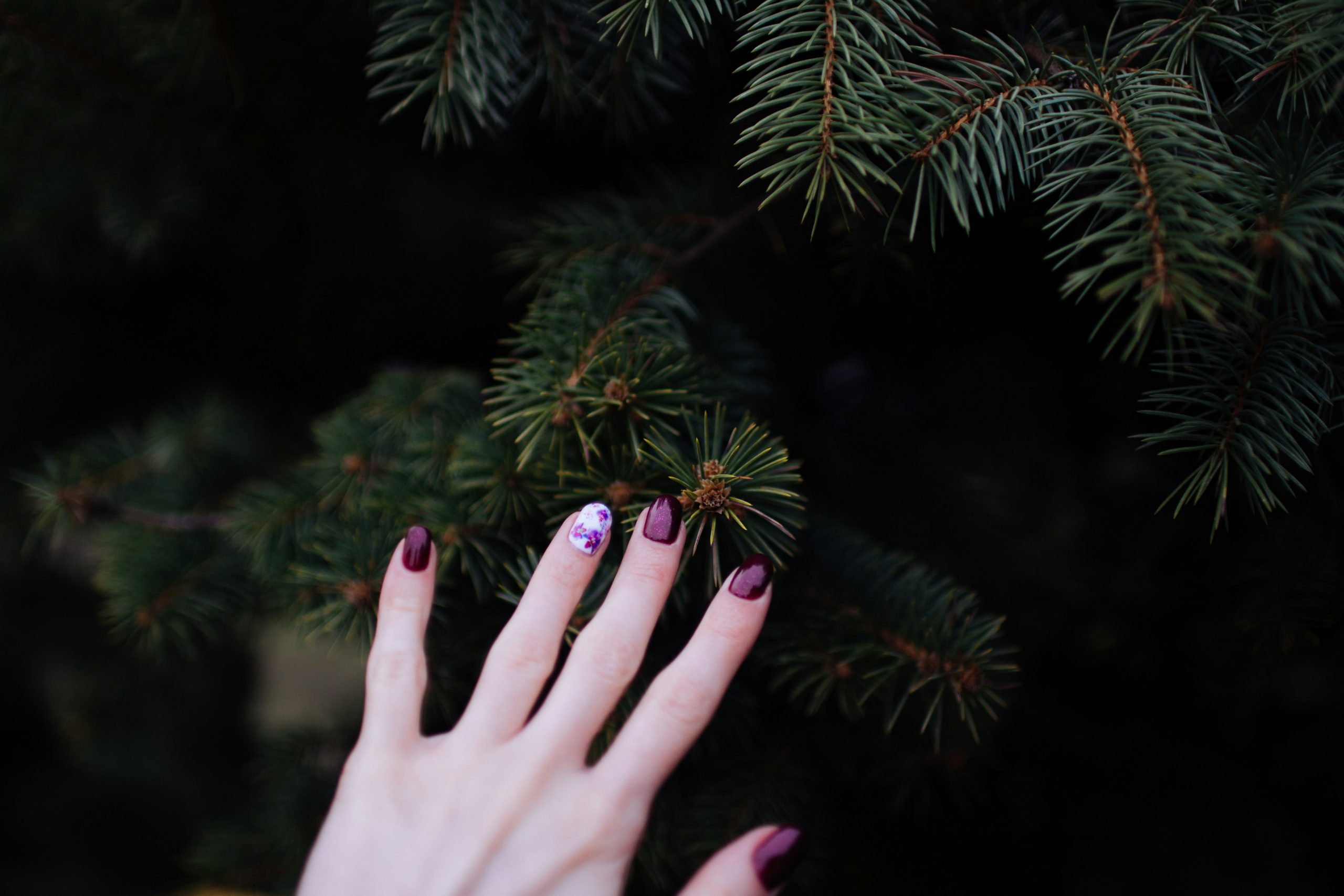 plum nails