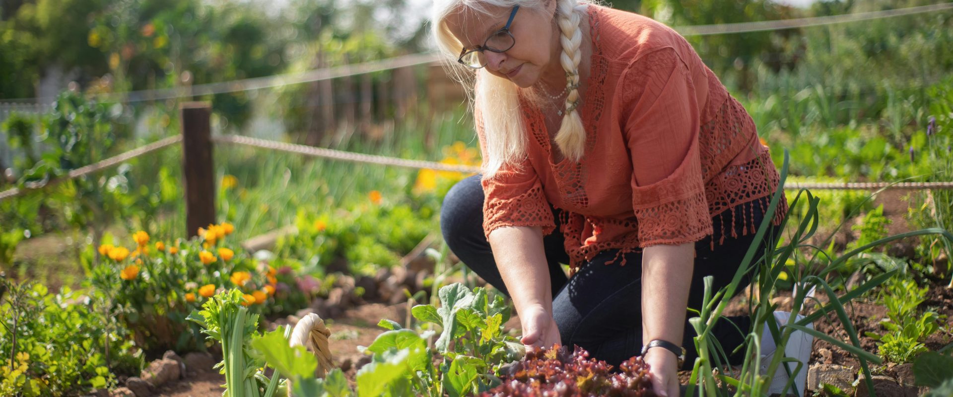 Veggies to grow in Autumn