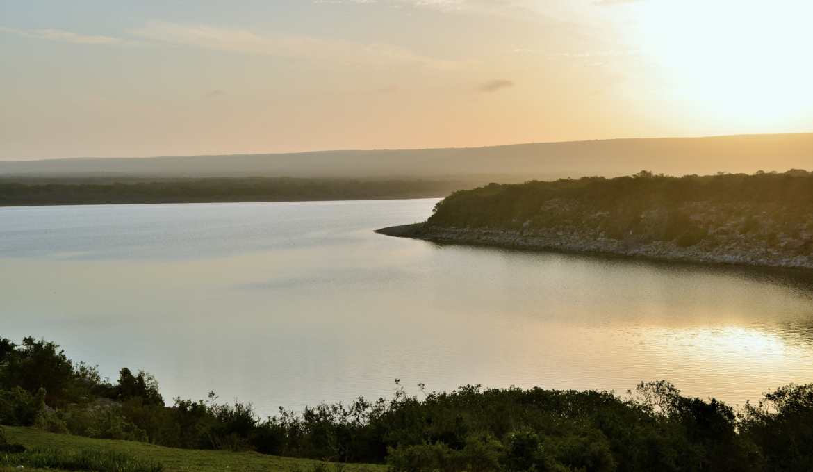 A trip to an unforgettable oasis at De Hoop Nature Reserve