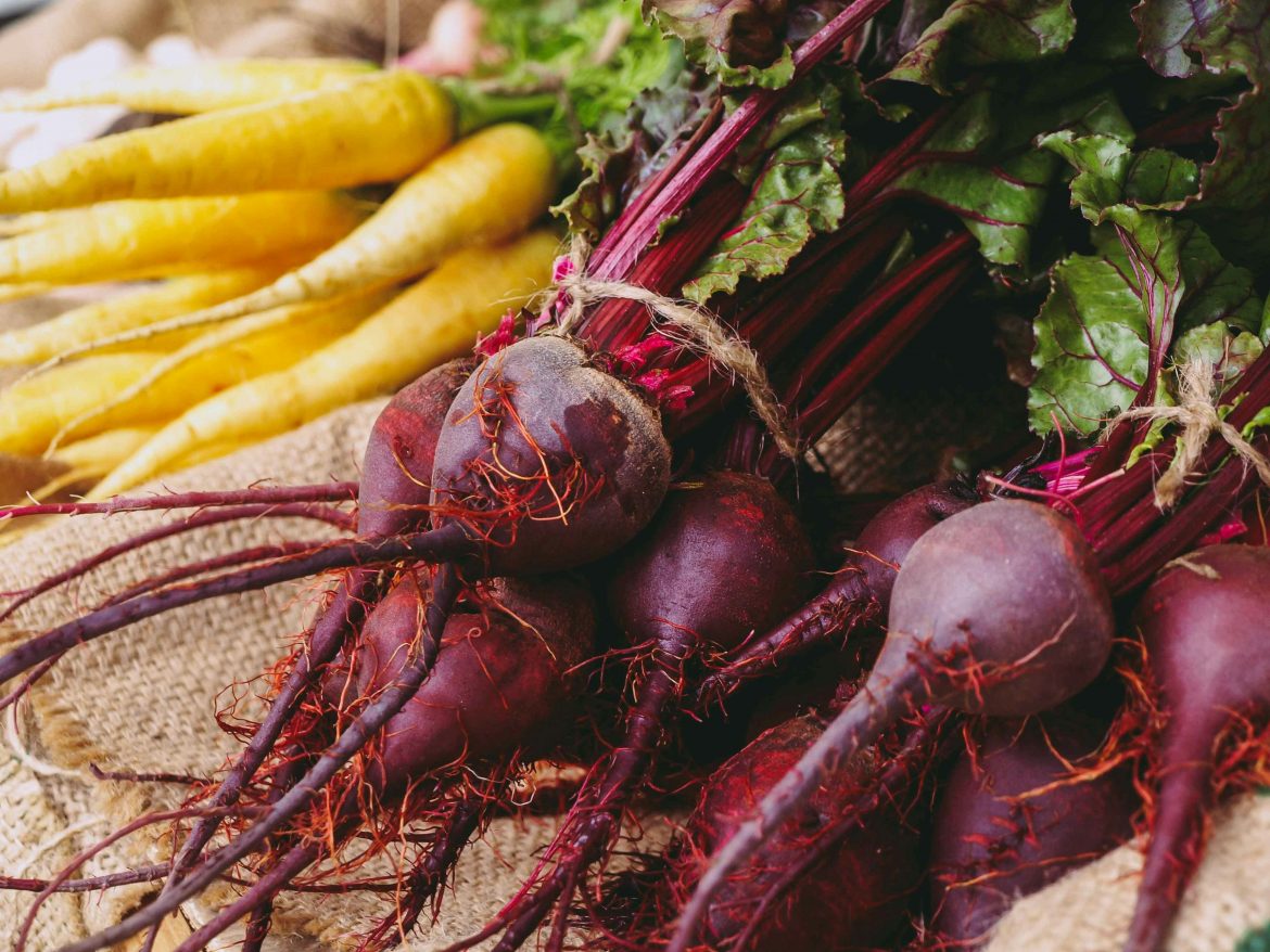 Your guide to growing beetroot at home