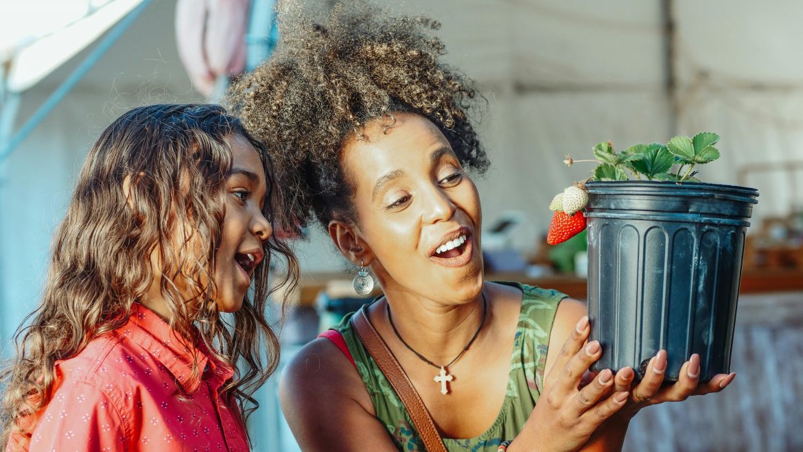 The top 10 fruit to grow in containers