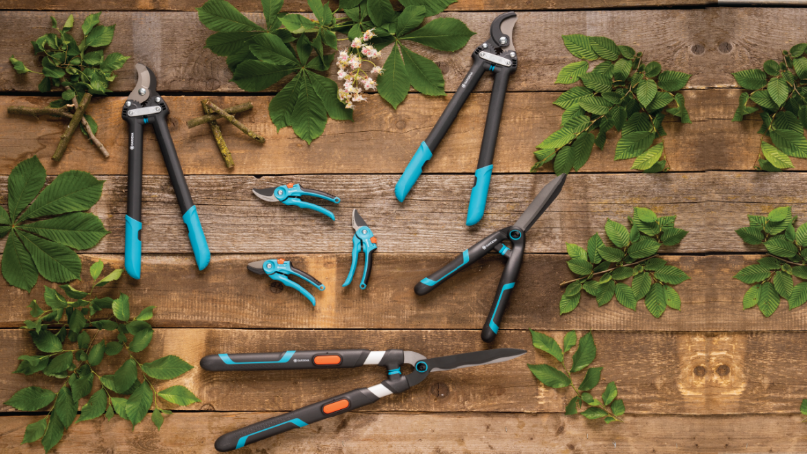 Winter is the best time to prune! What to know before you start