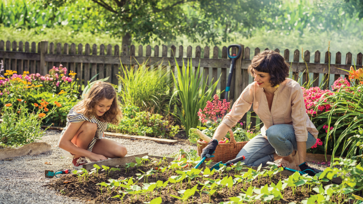 Less gravel, more greenery – inspiration for challenging and compact gardens