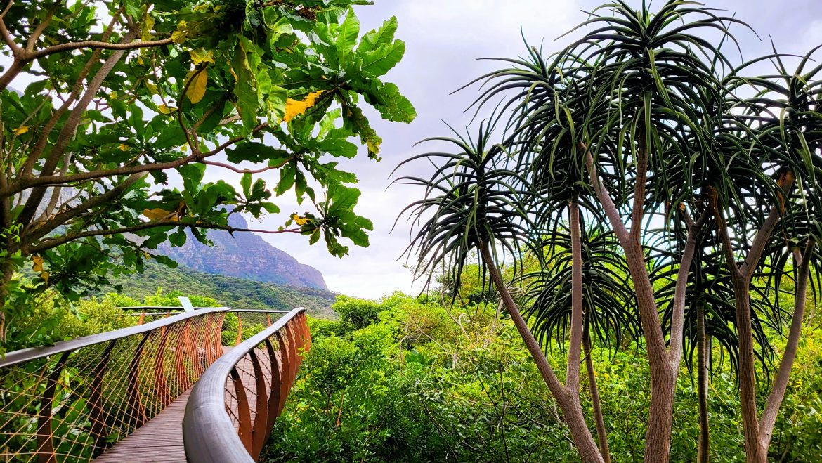 5 Botanical gardens to visit in SA