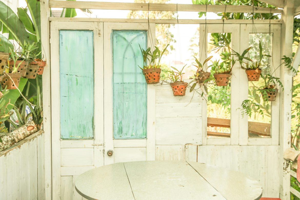 How to maintain a vertical garden