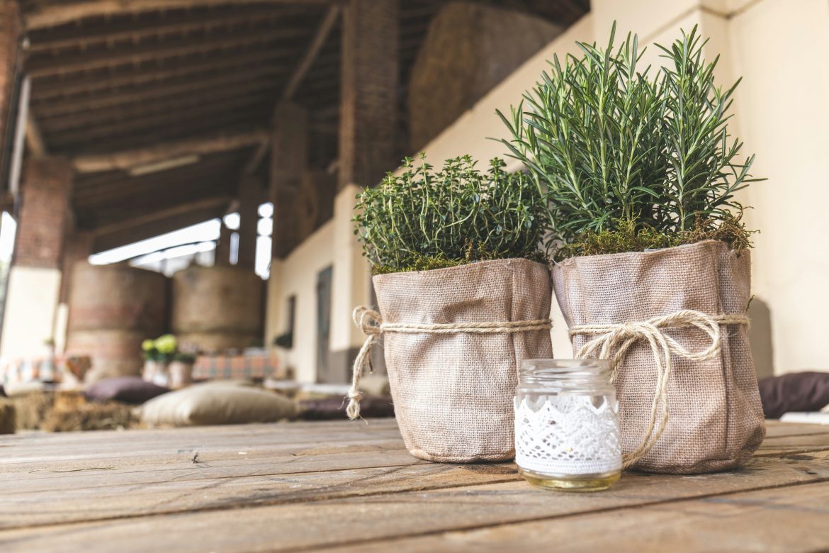 The unexpected benefits of rosemary