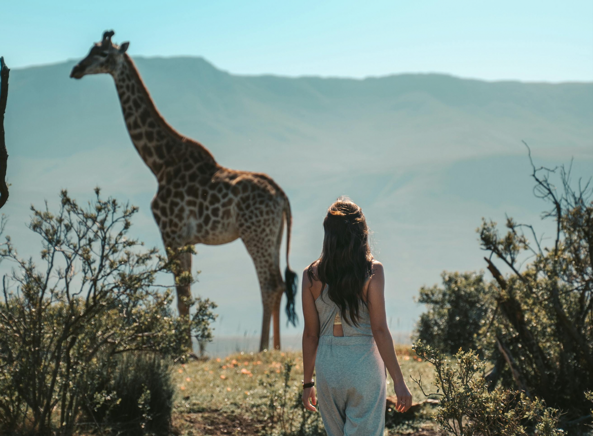 Essential items to pack on a trip to the bush