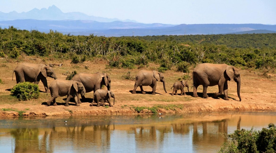 Get FREE entrance to national parks this SA Parks Week