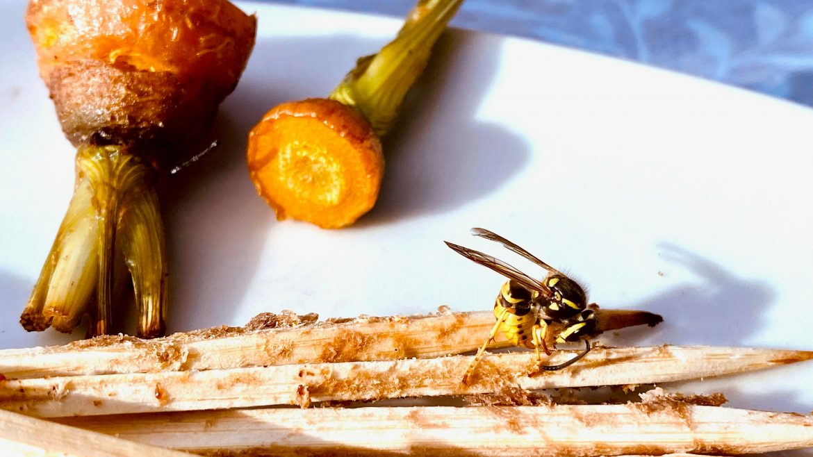 Keep wasps at bay naturally with these 10 tips