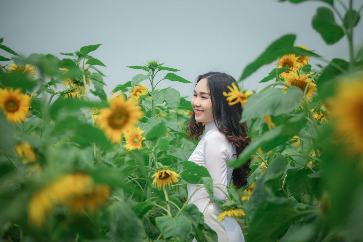 Yellow flowers to grow for a bright and beautiful garden