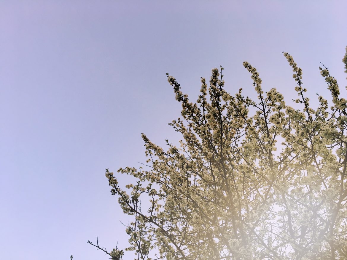 Horoscopes: Your stars in Libra season