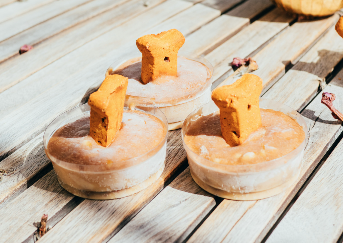 Frozen treats to make for your pet at home this Summer