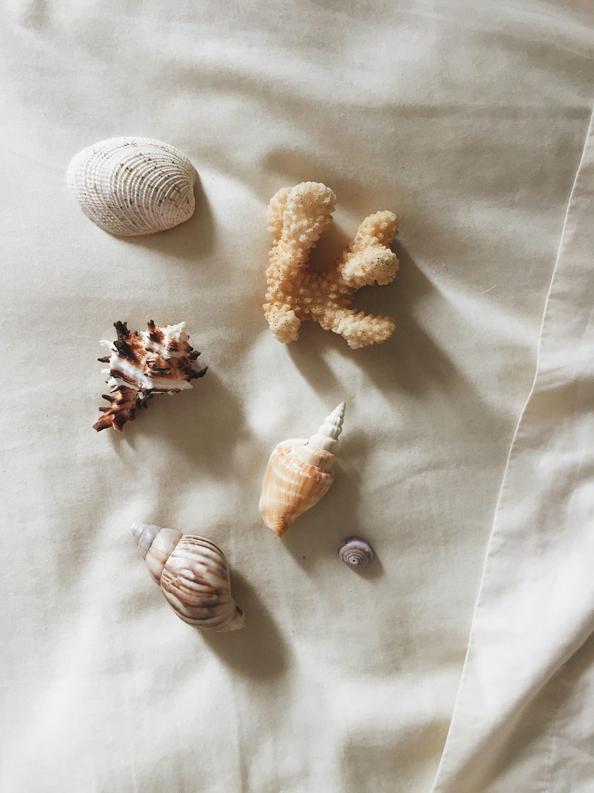 Benefits of beachcombing