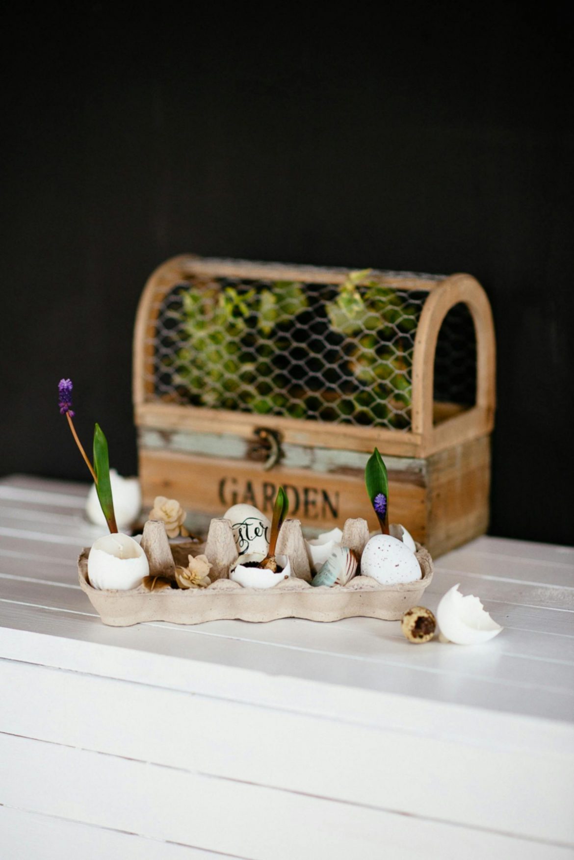 How to upcycle your trash to use in your garden