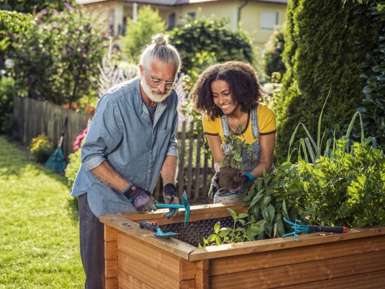 Your summer garden maintenance guide