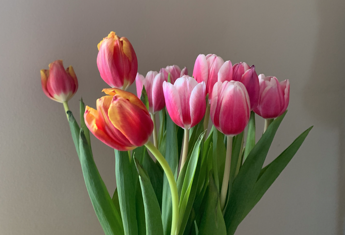 What is my birth month flower?