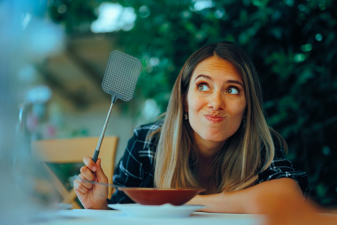 Top 10 fly deterrents you can make at home