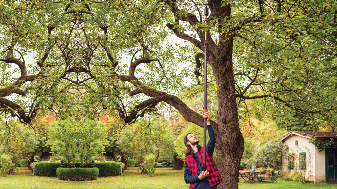 Get your garden trim and tidy with Gardena