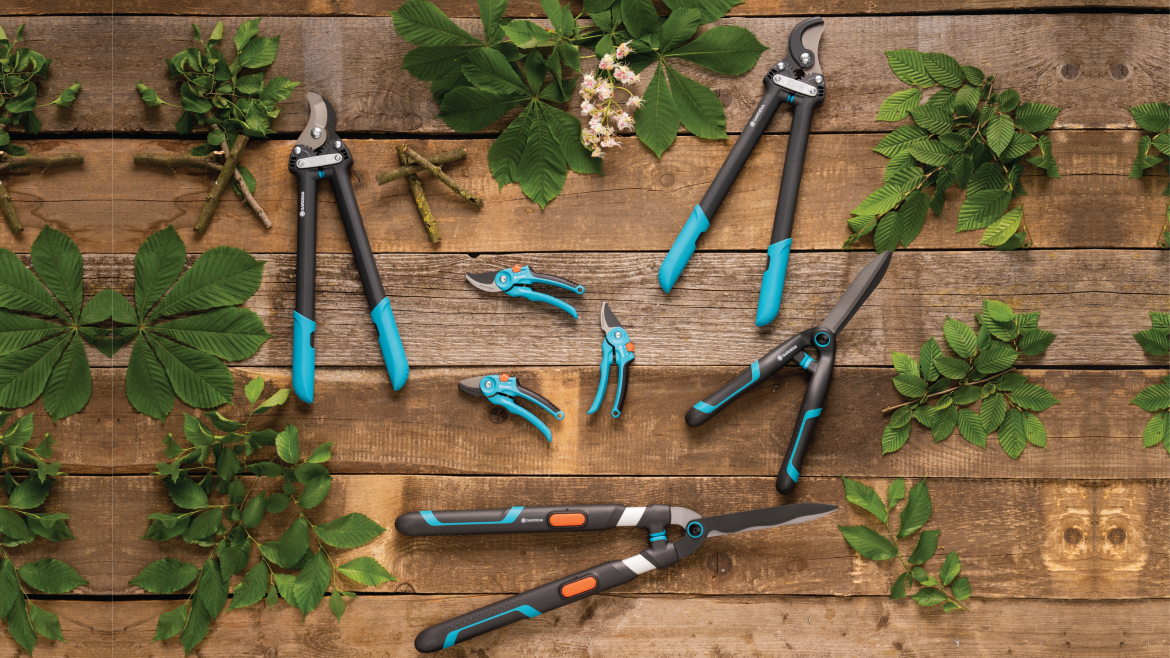 A healthy garden – one trim at a time